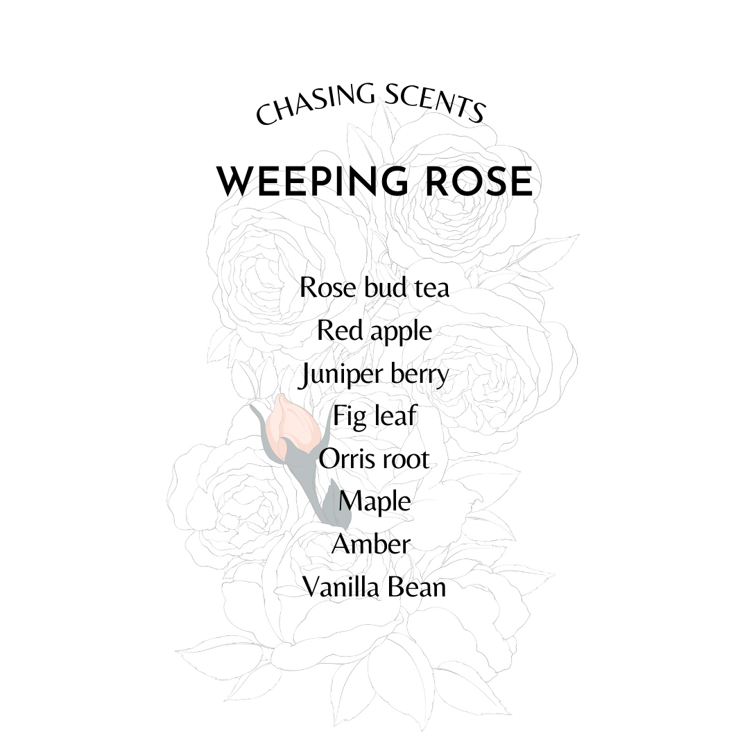 WEEPING ROSE – Chasing Scents